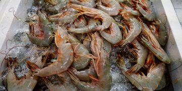 Top US Food Co-Op to Track Seafood Using Mastercard’s Blockchain Tech