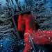 Hackers Launch Widespread Botnet Attack on Crypto Wallets Using Cheap Russian Malware