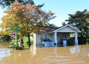FEMA Advisory Board Proposes Blockchain to Speed ‘Disaster Dividend’ Payouts