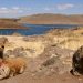 Peru’s Interbank set to use Ripple’s ODL for payment service |