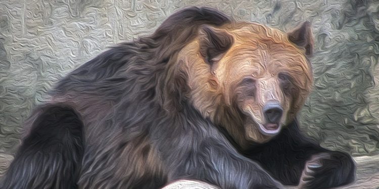 BTC, ETH, XRP Still Bearish |