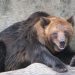 BTC, ETH, XRP Still Bearish |