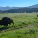 Blockchain Capital Leads $25M Funding Round for Libra Member Bison Trails