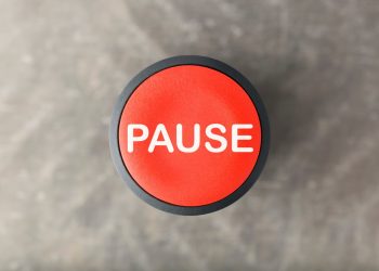 Bear Breather? Bitcoin Looks Oversold After 50% Price Drop Since June