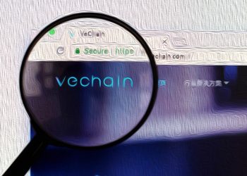 VET Is Possibly One Of the Hottest Coins Out Now |