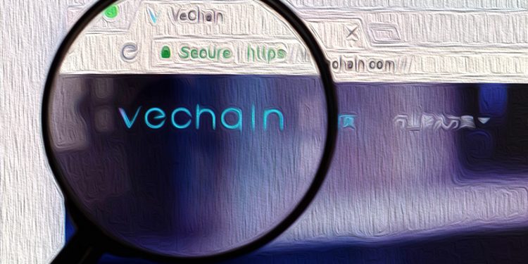 VET Is Possibly One Of the Hottest Coins Out Now |