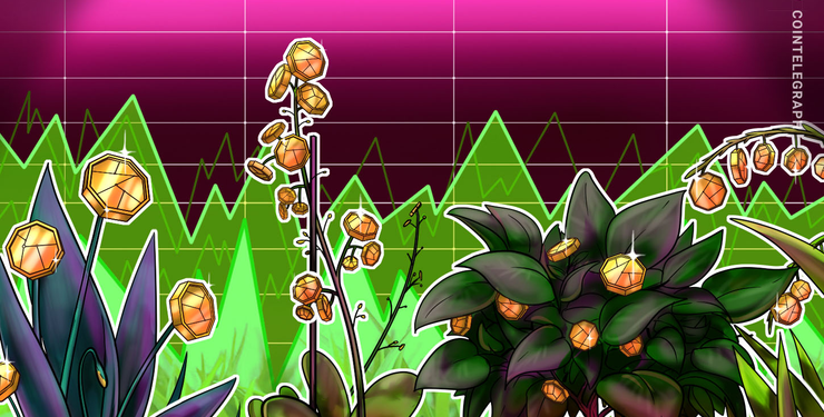 Best Performing Cryptos of 2019 Not Named Bitcoin
