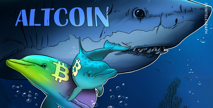 Bitcoin Wealth Inequality Drops in 2019 Unlike Ether, Litecoin: Report
