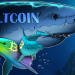 Bitcoin Wealth Inequality Drops in 2019 Unlike Ether, Litecoin: Report