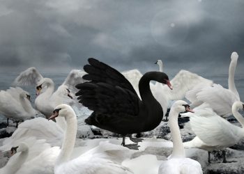 Equilibrium’s Stablecoin Now Has $17.5M in Insurance That Pays Out Automatically