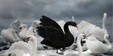 Equilibrium’s Stablecoin Now Has $17.5M in Insurance That Pays Out Automatically