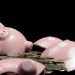 BitGo Warns Users to Withdraw Bitcoin SV Over Hard Fork Threat to Wallets