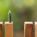 Bitcoin Is Closing on Historically Strong Price Support