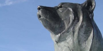 Bitcoin Drops Below Major Price Support For First Time Since May