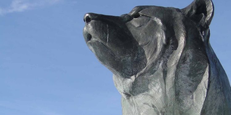 Bitcoin Drops Below Major Price Support For First Time Since May