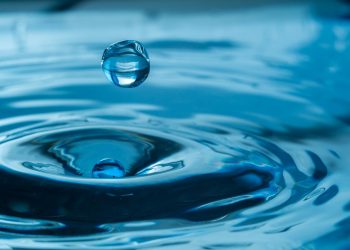 Decentralized Liquidity Is the Backbone of DeFi