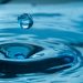Decentralized Liquidity Is the Backbone of DeFi