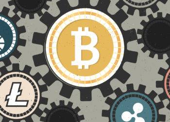 Bitcoin Maximalists Pushing Harder Than Ever, But Market Diversity Is Growing