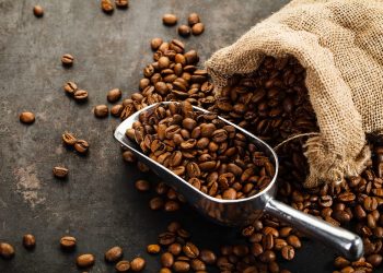 IBM Blockchain App Promotes ‘Virtuous Cycle’ for Sustainable Coffee