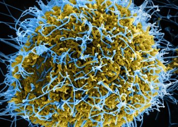 Crypto Companies Pledge Donations to Fight Coronavirus in Wuhan
