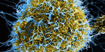 Crypto Companies Pledge Donations to Fight Coronavirus in Wuhan