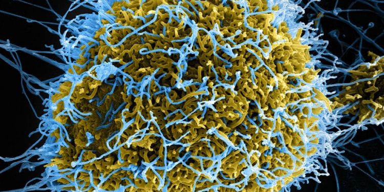 Crypto Companies Pledge Donations to Fight Coronavirus in Wuhan