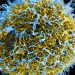 Crypto Companies Pledge Donations to Fight Coronavirus in Wuhan