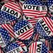 Campaign Privacy Statements Open Up Voters to Data Sharing