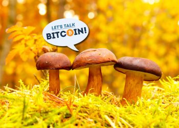 Decentralization Philosophy – Does Crypto Still Need Catalysts?