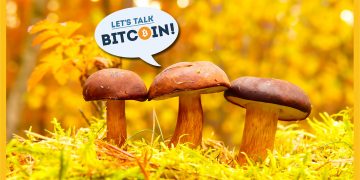 Decentralization Philosophy – Does Crypto Still Need Catalysts?