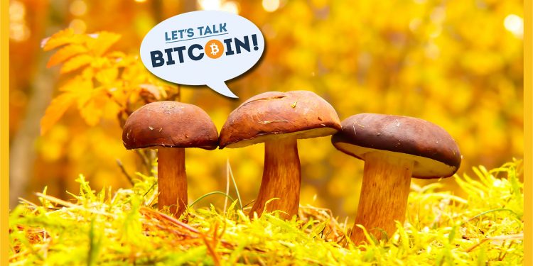 Decentralization Philosophy – Does Crypto Still Need Catalysts?