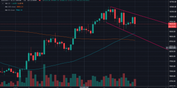 Bitcoin’s Coronavirus Selloff Throws Cold Water on Safe-Haven Argument