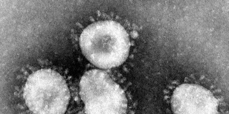 Coronavirus Hits US Stocks, Bitcoin Climbs, Haven Status Unclear