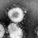 Coronavirus Hits US Stocks, Bitcoin Climbs, Haven Status Unclear