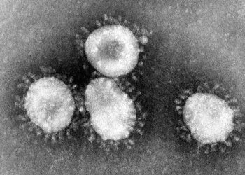 Coronavirus Checks China’s Blockchain Ambitions