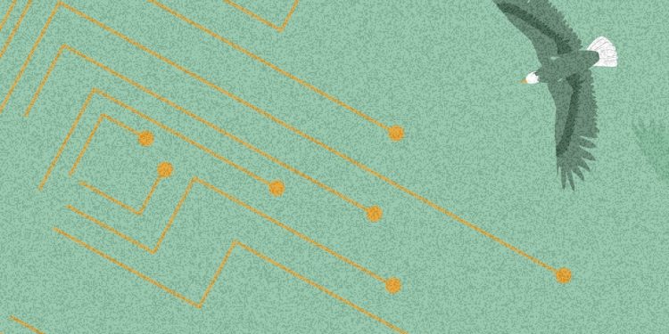 A Safer Harbor: Improving Hester Peirce’s Proposal for Regulating Token Sales
