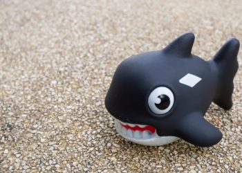 On-chain Activity Suggests Bitcoin Price Volatility Will Continue, Thanks to ‘Whales’
