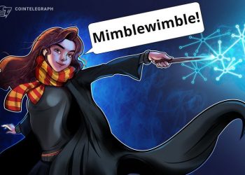 Developer Predicts Litecoin Mimblewimble Testnet Launch by September