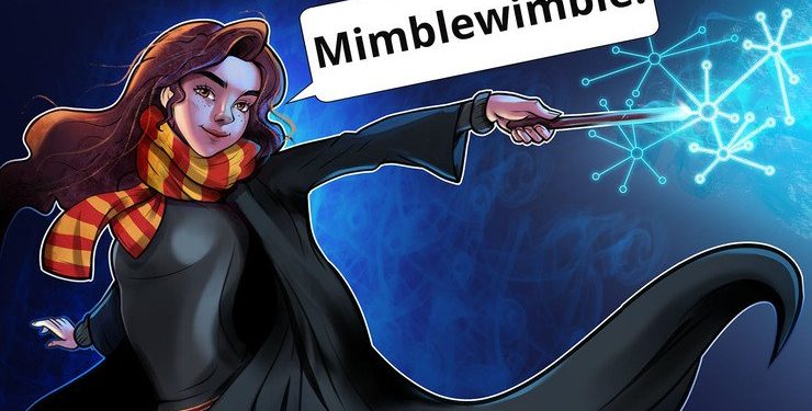 Developer Predicts Litecoin Mimblewimble Testnet Launch by September