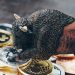 Altcoins Pumping on Cryptocurrency Exchange Listing Provides Again Recollections Of Bull Current market