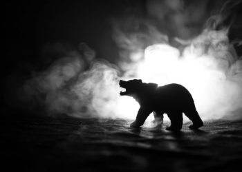 Analyst: Bitcoin May See an Prolonged Bear Industry Until finally September 2020