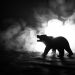 Analyst: Bitcoin May See an Prolonged Bear Industry Until finally September 2020