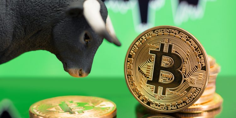 Analysts Eye $20,000 Bitcoin as Selling price Breaks Major Resistance