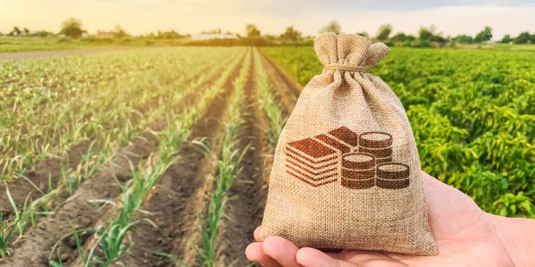Bitcoin Core Contributor Gleb Naumenko Receives $100,000 From BitMEX
