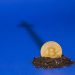 Bitcoin “Death Cross” Pattern that Past Crashed Value 55% Seems Once more
