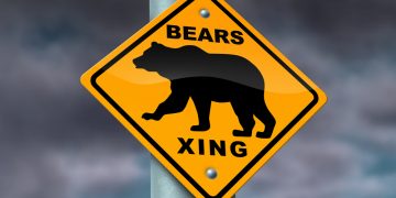 Bitcoin Dives Under Vital Uptrend Assistance: Here’s Why Bears Are Comfy