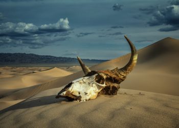 Bitcoin Holds Bullish On Essential Technological Indicator, But Trend Might Be Turning
