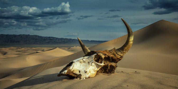 Bitcoin Holds Bullish On Essential Technological Indicator, But Trend Might Be Turning