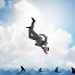 Bitcoin Is Plunging And Indicators Place To A New Regular Reduced Down below $9,000