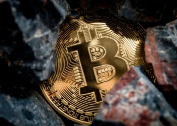 Bitcoin Miners Promote Down Hottest Rally, What Happened To Article-Halving Hold?